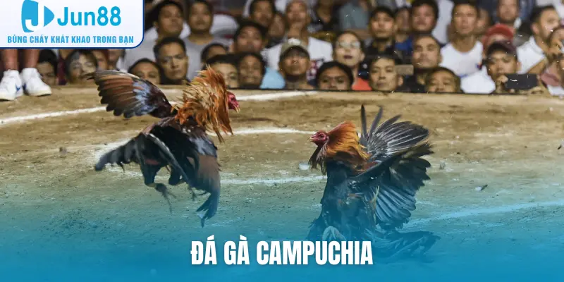 đá gà Campuchia