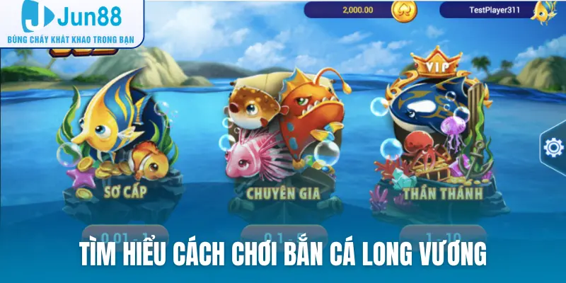 Tìm hiểu chung về cách chơi bắn cá long vương