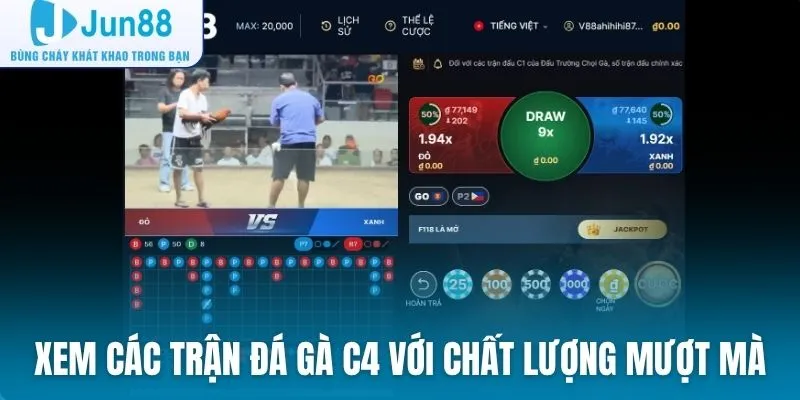 Xem các trận đấu đá gà C4 với chất lượng phát sóng mượt mà